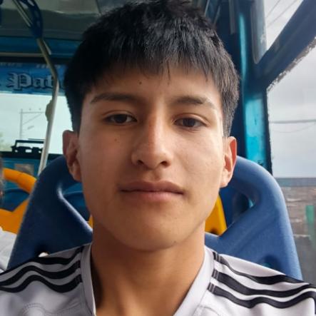 User Image