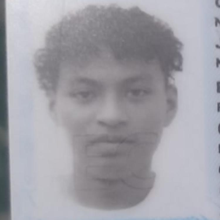 User Image