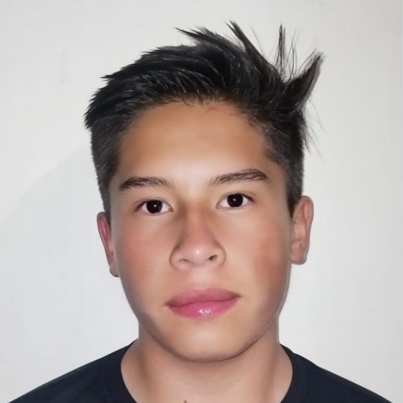User Image