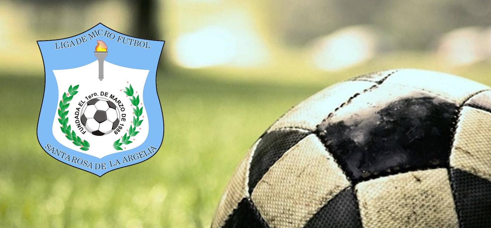 Liga Santa Rosa de la Argelia